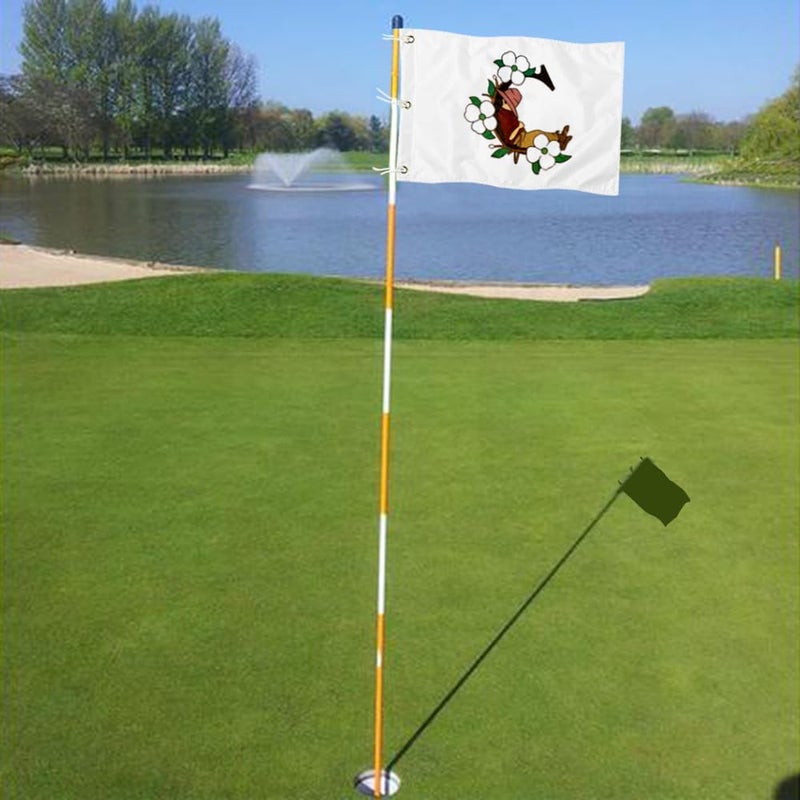 2BUT Pinehurst Golf Club Golf Pin PGA Flag Practic Putting Green Golf Flag For Backyard Garden Double-Sewn 600D Nylon Miniature Pin Flag (C 20"X13" Grommet) - Image 4